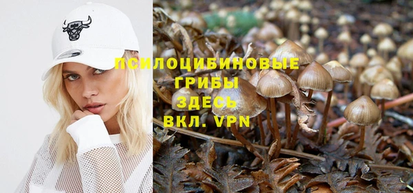 кокаин Белокуриха