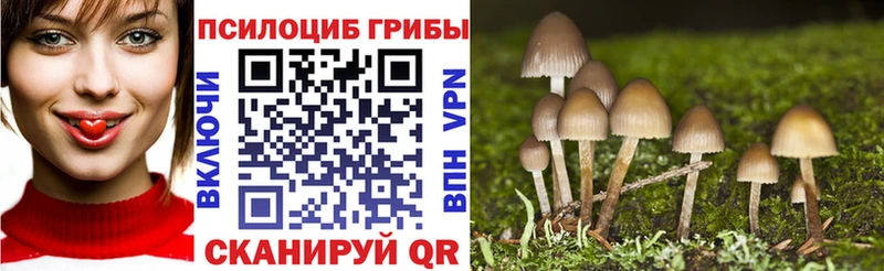 Купить  Ковылкино  Псилоцибиновые грибы Psilocybe 